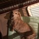 hamupiのアイコン