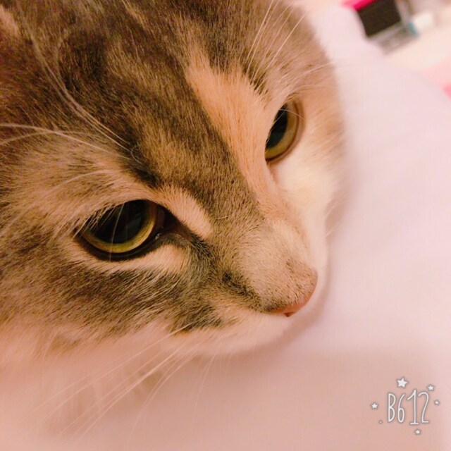 るみな