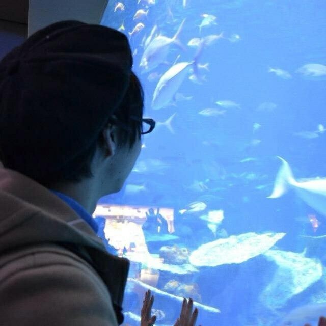 ぬきを。