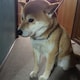 えがしらのアイコン