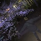 RUNBAのアイコン