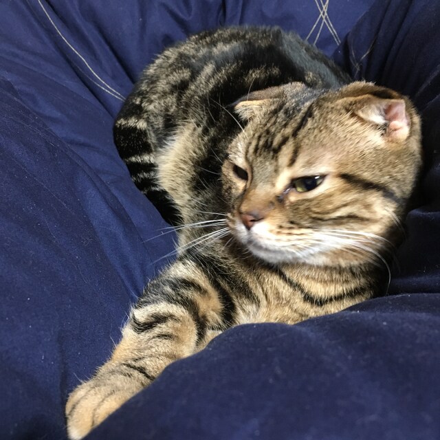れそ