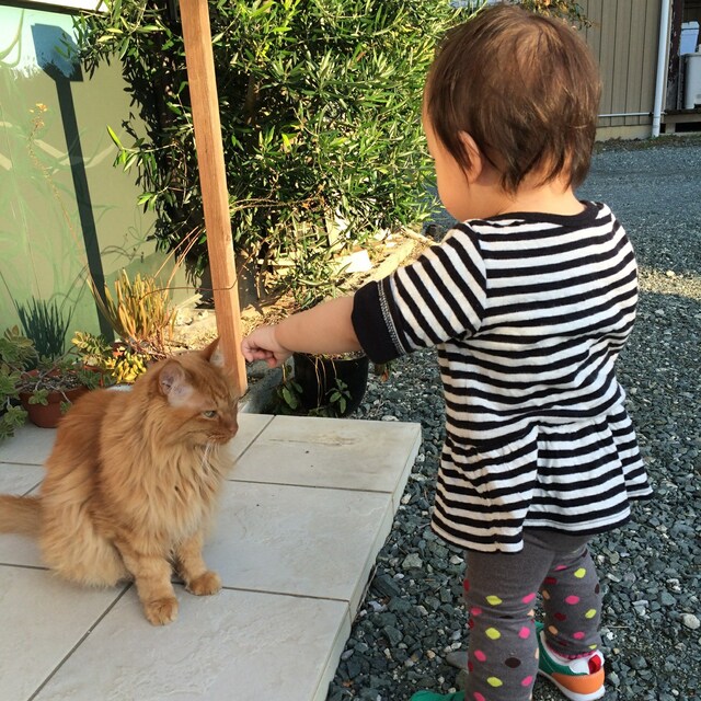 maaan☆