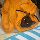 TADATOSHIのアイコン