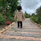 tasseのアイコン