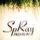 SpRay PREMIUM 広島府中店のアイコン