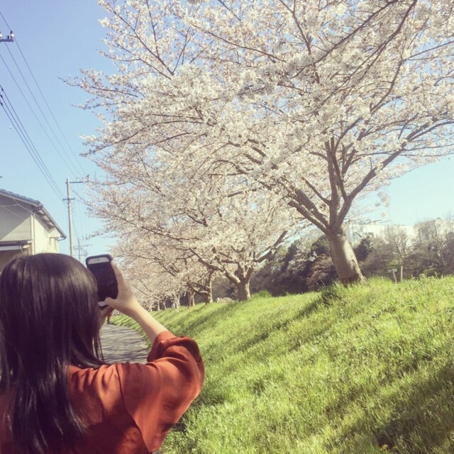 ﾐﾌﾕ