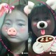 めめたんのアイコン