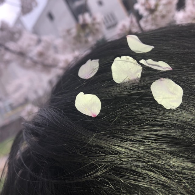 taku