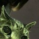 s aのアイコン