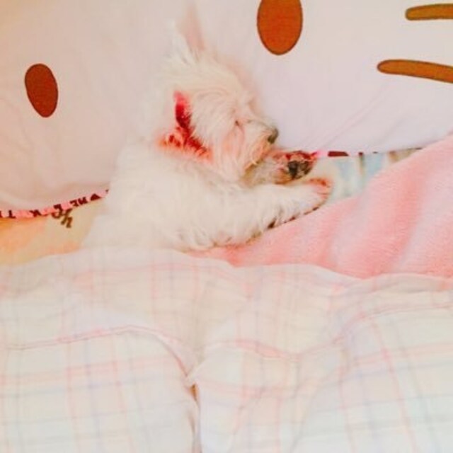 未 来