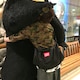 くろかわ　しゅーまのアイコン