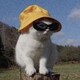 べくのアイコン