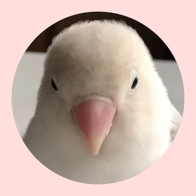 amu