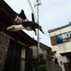 花枝我のアイコン