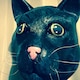 Cat Finkのアイコン
