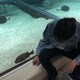 ぐっちーのアイコン