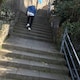toriのアイコン