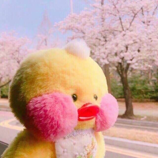 nana⭐︎🌙
