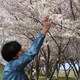 加納のアイコン
