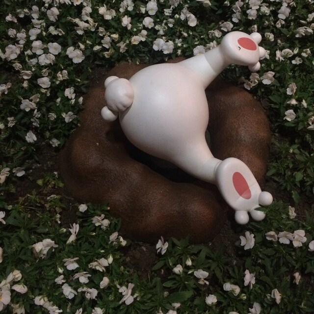 ちゅん。