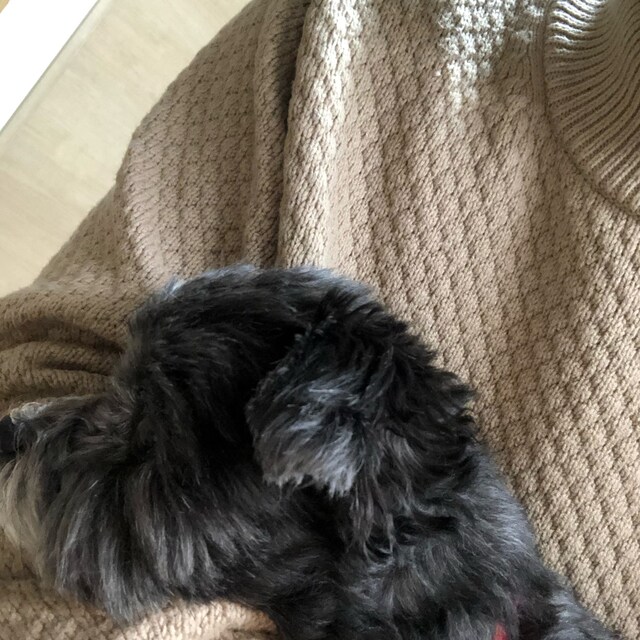 ま