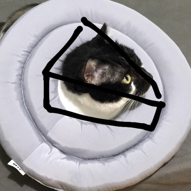 黃品