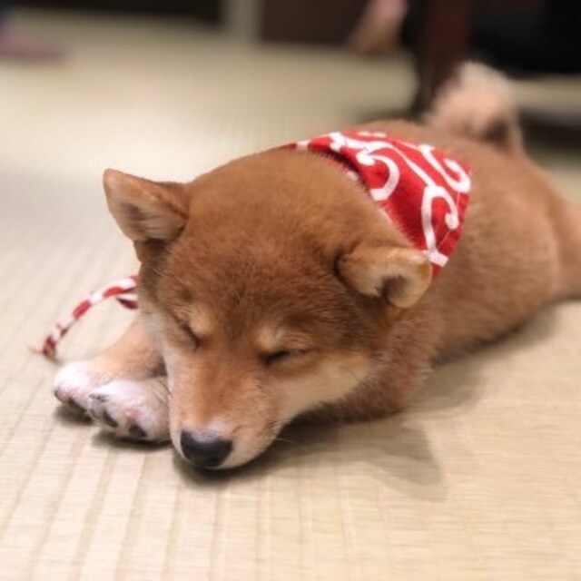 れい
