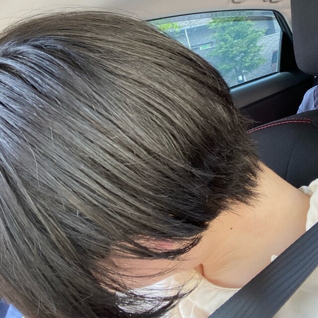さくですが。