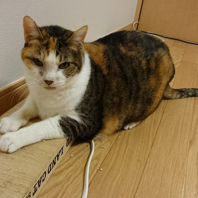 りい