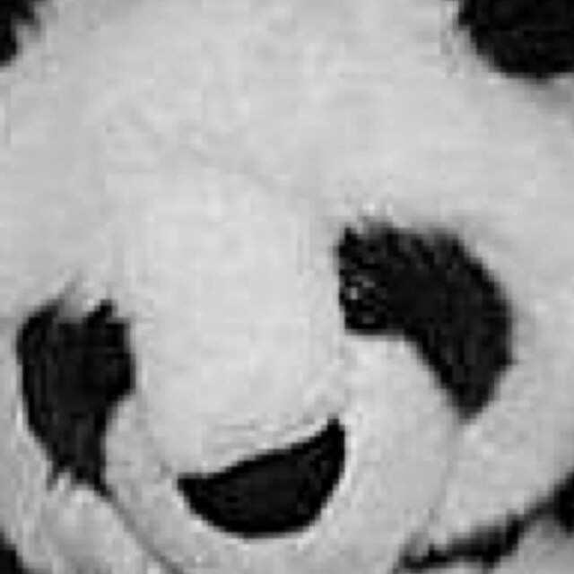 mr