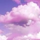 yuukaのアイコン