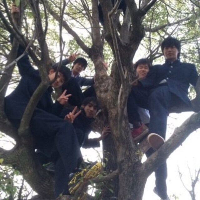 まつした だいすけ