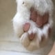 みるのアイコン
