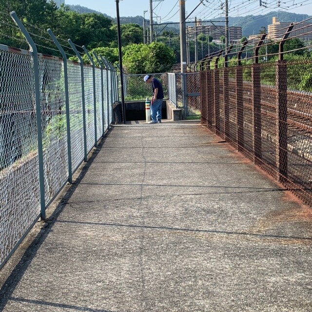 スミスさん