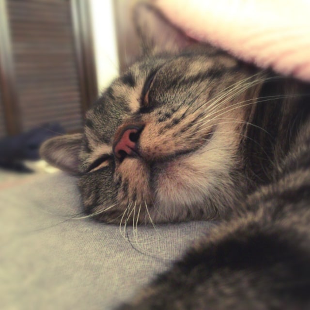 tasuku