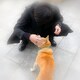 ながのアイコン