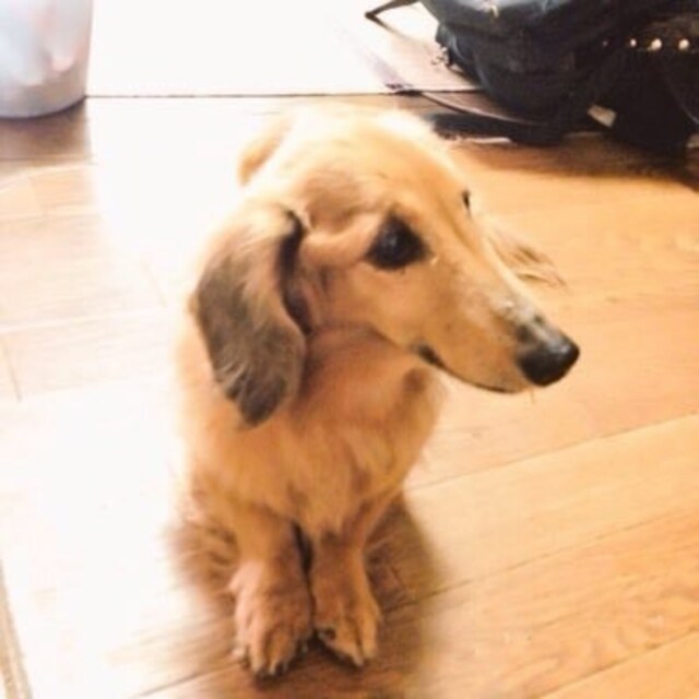 かなまる