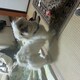 ザキヤマのアイコン