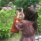 せせせのアイコン