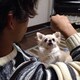 サド。のアイコン