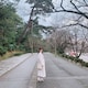 yan-TTのアイコン