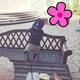 *あおたん*のアイコン