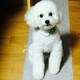Hのアイコン