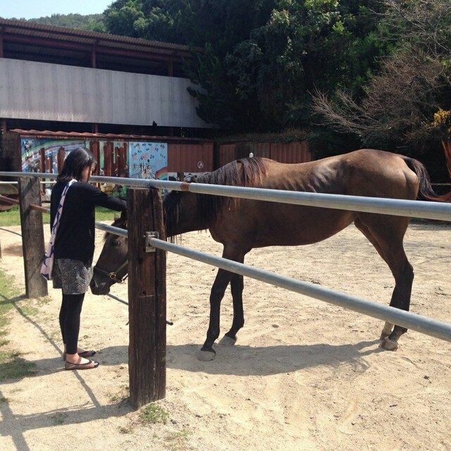 みかんマーク