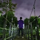 かけるのアイコン