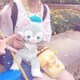 負け猫のアイコン