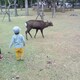 えいとのアイコン