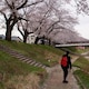 ssyuのアイコン
