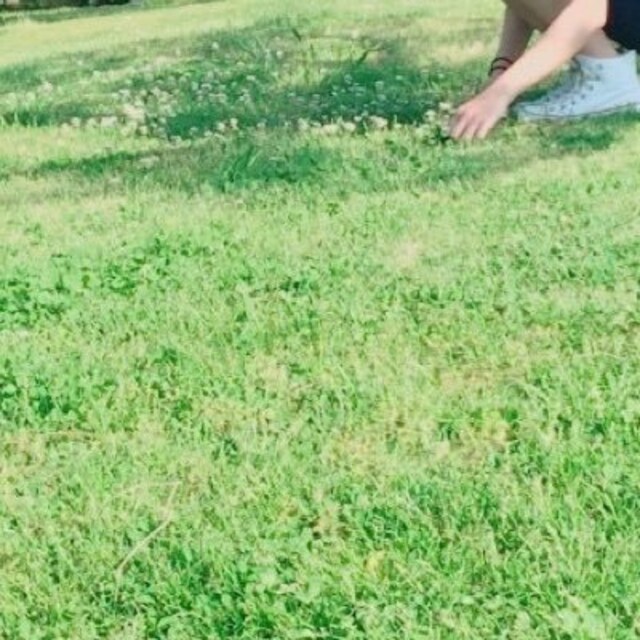 ゆきの
